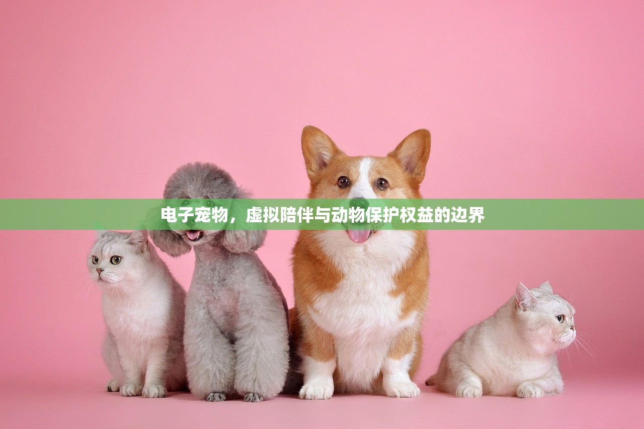 定格瞬间，传递万象，新闻摄影作品展示平台的多元价值与深远影响