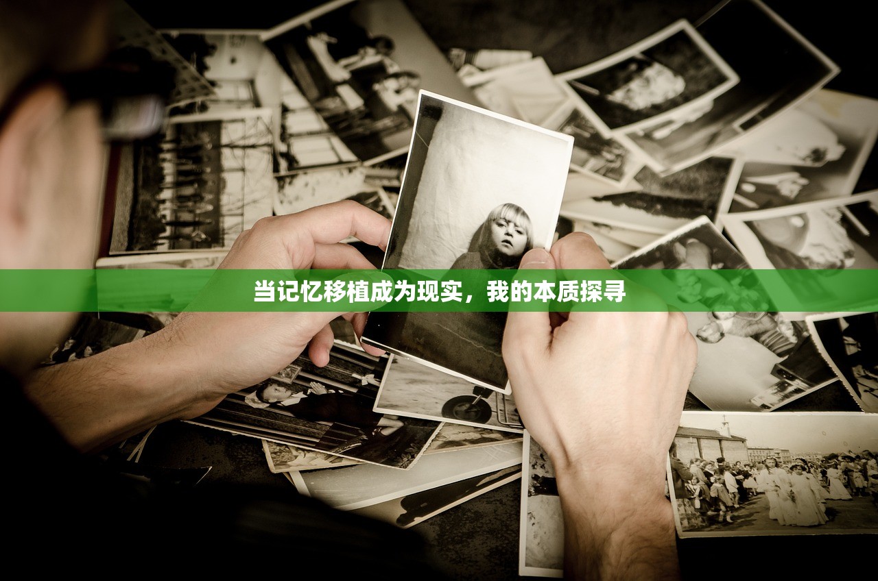 综艺节目嘉宾阵容大揭秘，星光熠熠的背后故事