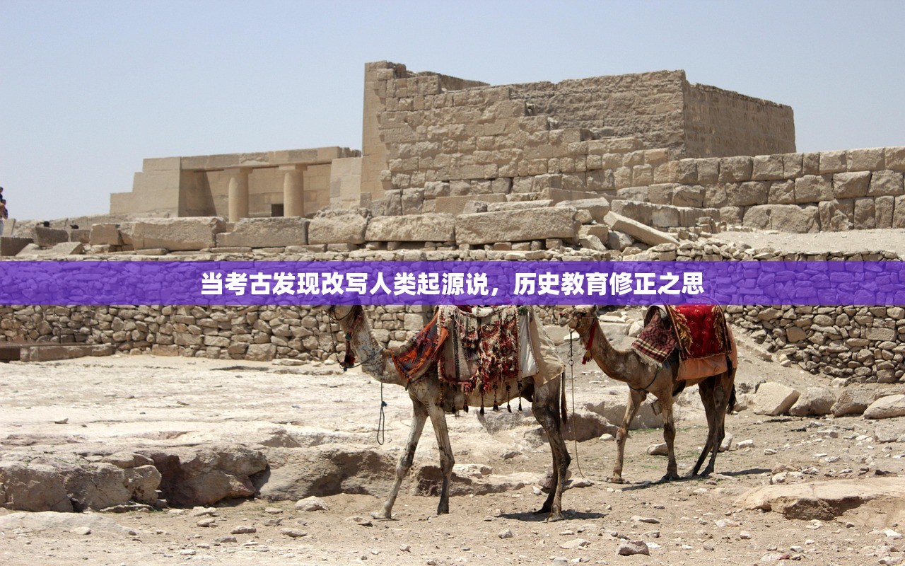 环境养生，构建健康生活的基石