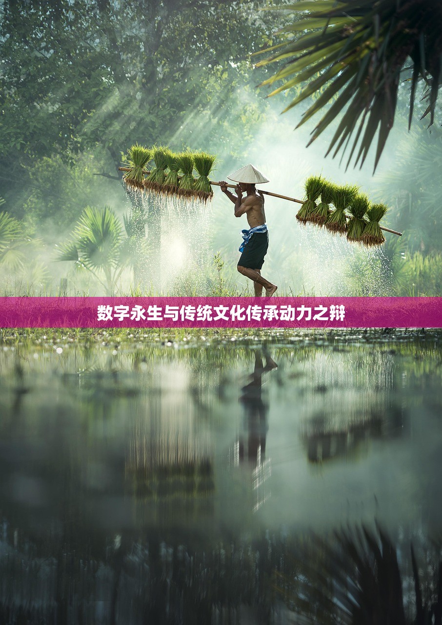食品价格调控最新进展，多策并举，成效初显