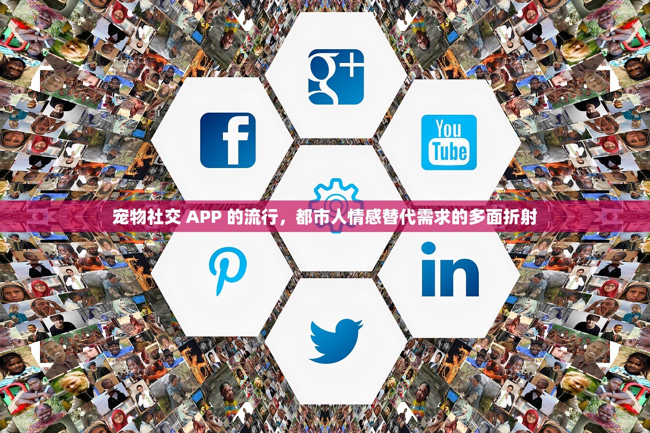 肝脏保养的经络穴位分析，开启健康养肝新路径