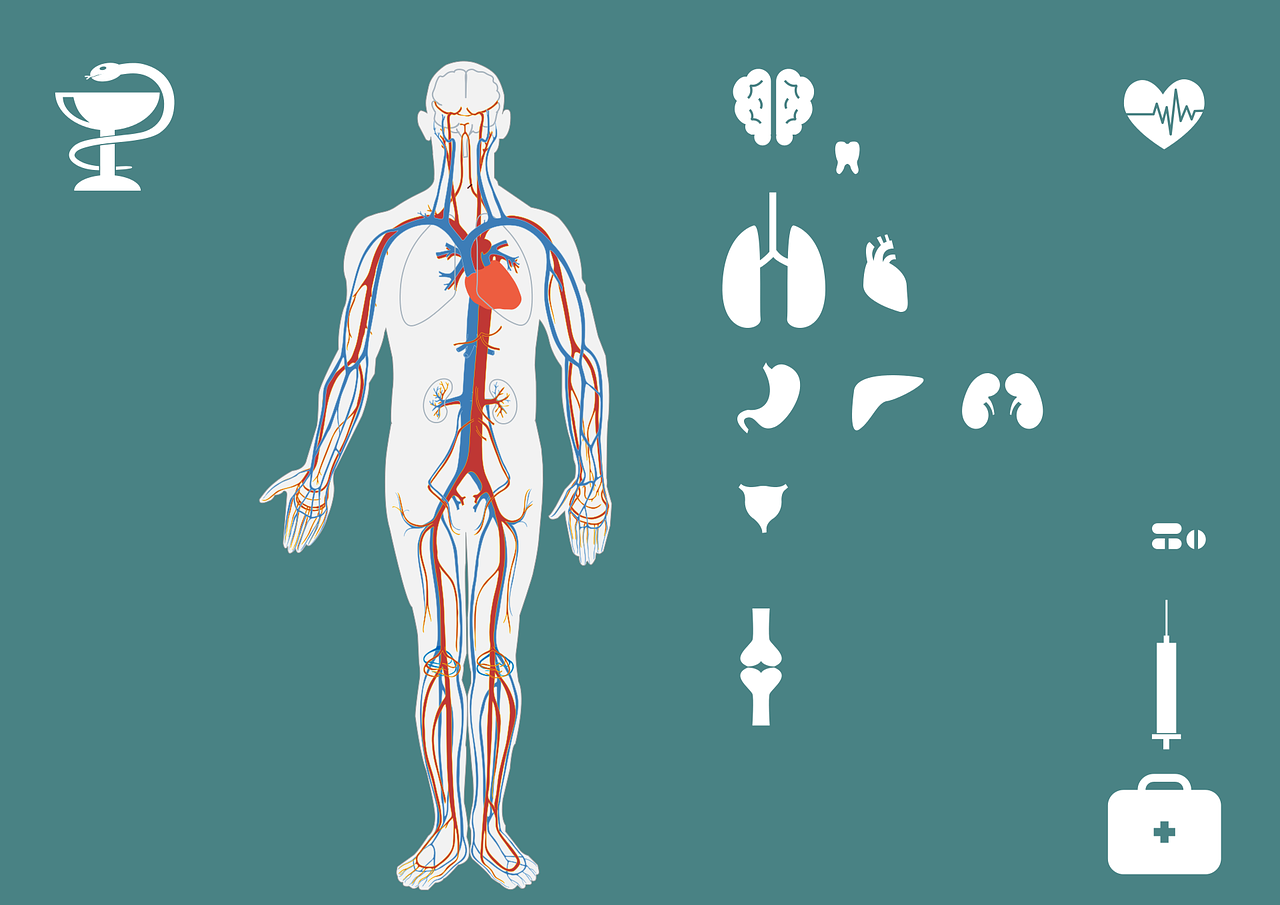肝脏保养的生活方式指南，守护生命化工厂
