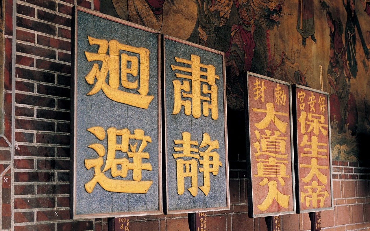 国内社会重大事件即时报道，洞察时代脉搏，见证历史进程